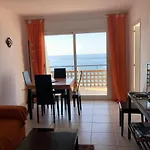 Miramar Roses